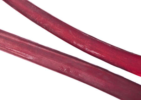 Fresh Rhubarb Isolated の写真素材