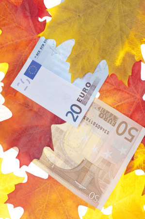 Autumn Economy Concept with Vibrant Fall Leaves and Banknotes.の写真素材