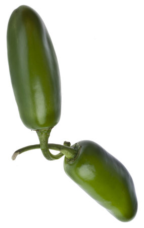 Pair of Jalapeno Peppers With Stems Entwined.の写真素材