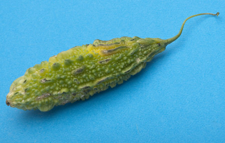 Bitter Melon Gourd is a Vegetable from India and Asia that Scientists are Using to Study for a Cure...