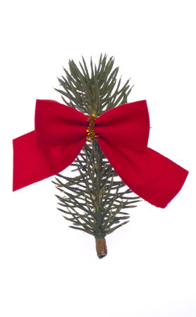 Pine Branch with a Red Bow Winter Holiday Concept Image.の写真素材