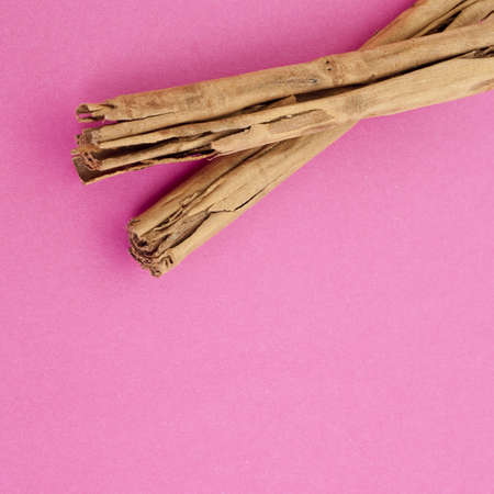 Pair of Cinnamon Sticks on a Vibrant Pink Background.の写真素材