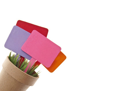 Pot of Grass with Several Blank Colored Signs with Copy Space for a Border Image.