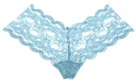 Lace Female Sexy Panties.  Isolated on White