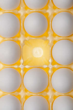 Carton of Eggs on Vibrant Yellow Modern Pattern.の写真素材