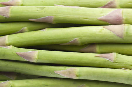 Fresh Asparagus Detail of Stalks on Plant.の写真素材