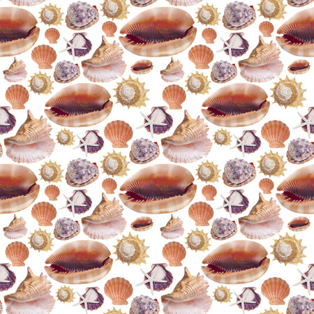 Sea Shell Seamless Background Pattern Photograph on White.