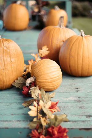 Pumpkins on Railroad Cart unsaturatedの写真素材