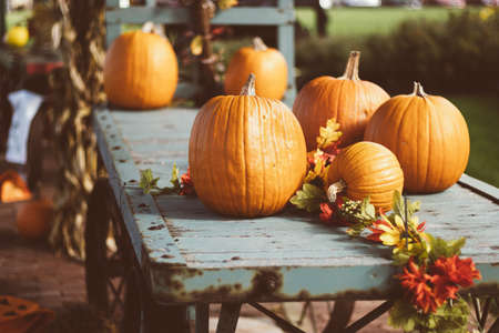 Halloween pumpkins on wooden table in park. Selective focus.の写真素材