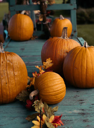Autumn still life with pumpkins on rustic wooden background.の写真素材