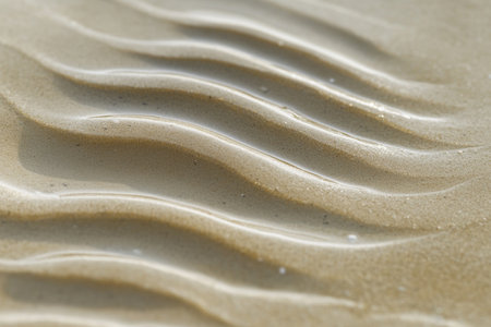 close up of sand texture background with some smooth lines in the sandの素材