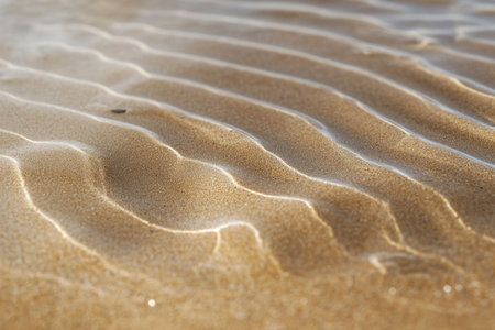 Close up of sand ripples on the beach, shallow depth of fieldの素材