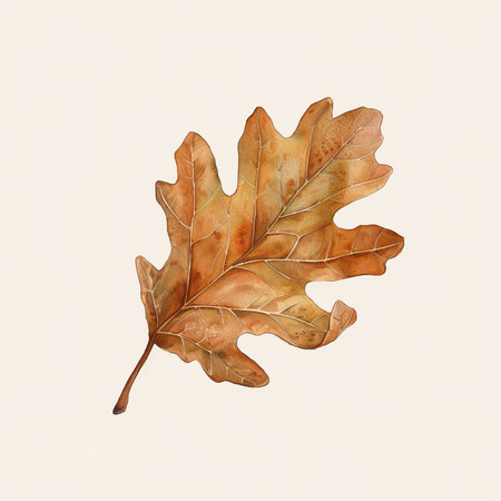 Autumn oak leaf isolated on white background. Watercolor illustration.の素材