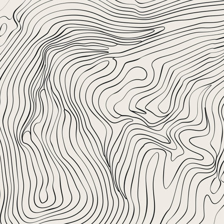 Topographic map background with black contour lines. Vector illustration.の素材