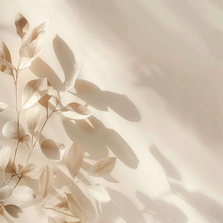 Flowers composition. Eucalyptus branches on white background. Flat lay, top view, copy spaceの素材
