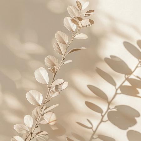 White eucalyptus leaves in sunlight. Natural background.の素材
