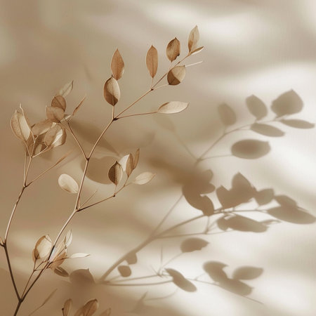 branch of eucalyptus with shadow on the wallの素材