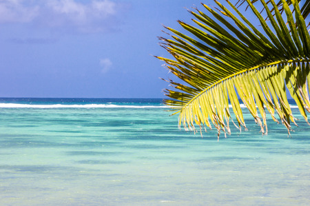 Mauritius beachの写真素材