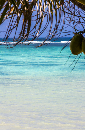 Mauritius beachの写真素材
