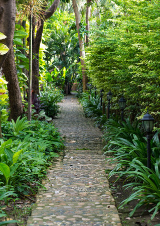 A stone walkway in tranquil garden