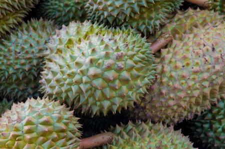 Durians