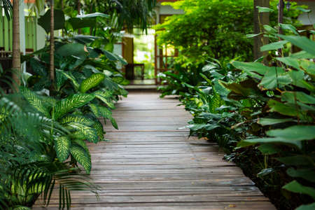 Walking path in the gardenの写真素材