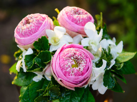 Flower for making worshipの写真素材