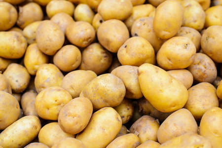 Group of potatoes at the marketの写真素材
