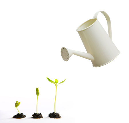 Three small tree with watering potの写真素材