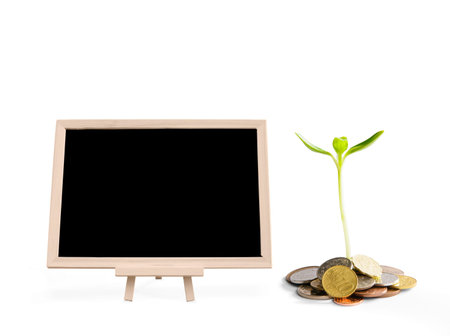 Blank blackboard with investment concepts