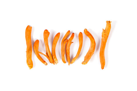 Cordyceps mushroomの写真素材