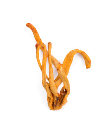 Dried cordyceps mushroom on white background
