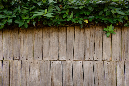 Wooden background texture with leavesの写真素材