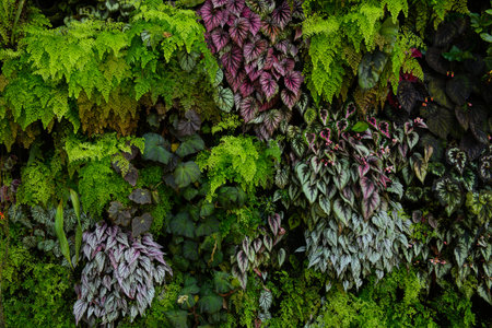 Various color and shape of leaves background