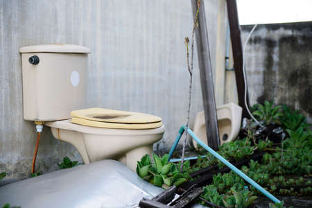 Old broken toilet cabin surrounded with wild vegetationの写真素材