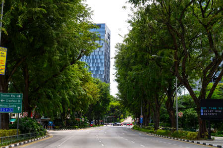 Roads with green tree in Singaporeの写真素材