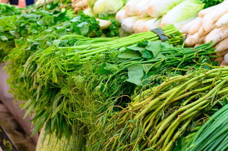 Various asian vegetables sell in the market