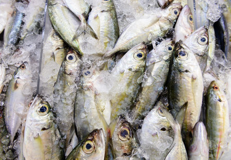 Mackerel on ice at seafood market