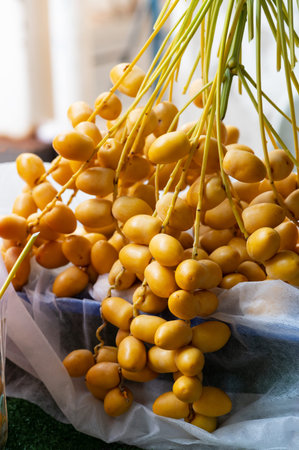 Fresh yellow date palm ready for market