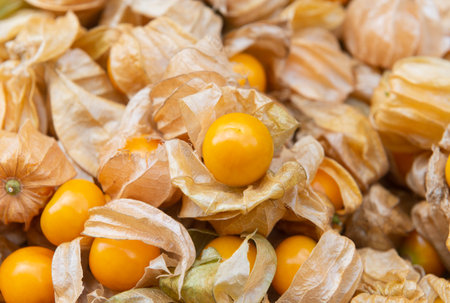 Pile of cape gooseberry on marketの写真素材