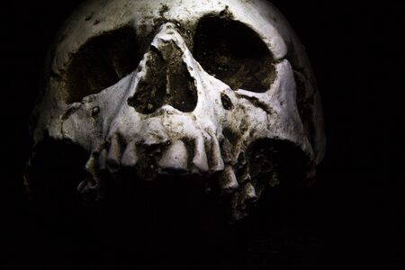 A human skull on a dark background.の写真素材
