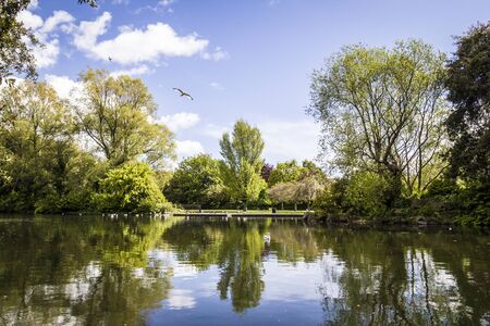 Dublin's beautiful parkland landscape with a lake and Swan Lakeの写真素材