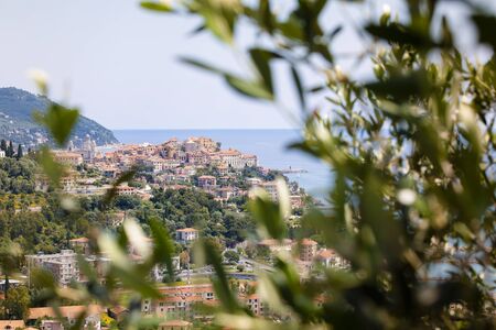 landscape of the Ligurian coast of Imperia with houses, sea and olive treeの写真素材