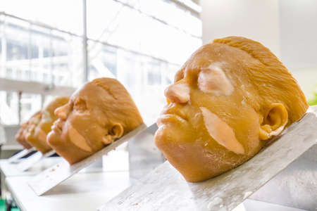Bologna, BO, Italy - April 3, 2016: Dummies used for the surgical simulations are exposed during the tanexpo 2016 , the Expo of funeral cemetery art ---- Workbench with faces used for simulations of facial reconstructions.のeditorial素材