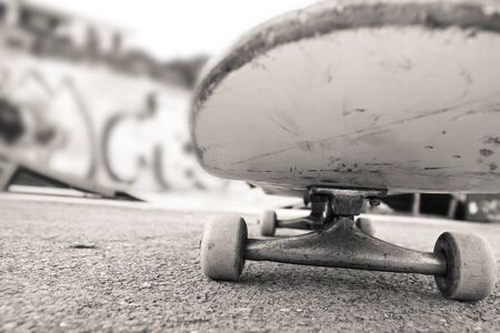 skateboard photographed from the front you can see wheels and the metal truckの写真素材