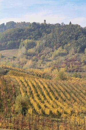 The landscape of the hills of the Oltrepo Pavese, you can see the hills where it is produced the wine of high quality Italianの写真素材