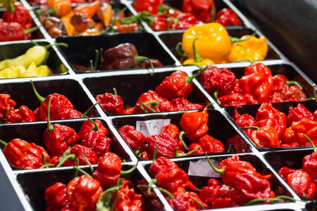 Spicy chili Peppers of various colors, sold at marketの写真素材