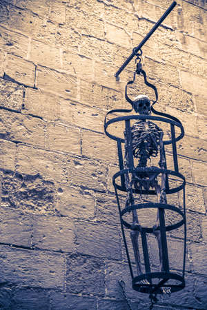 Skull trapped in a cage for many yearsの写真素材