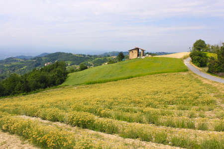 Landscape of fields used for cultivation in the Piedmont area in Italyの写真素材