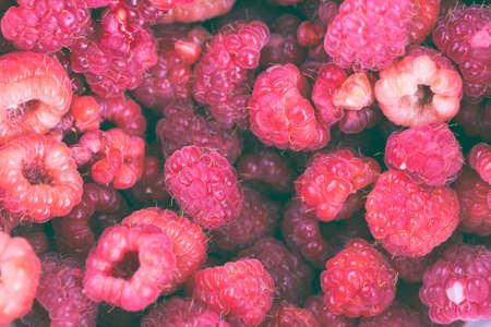 Freshly picked raspberries ready to be eatenの写真素材